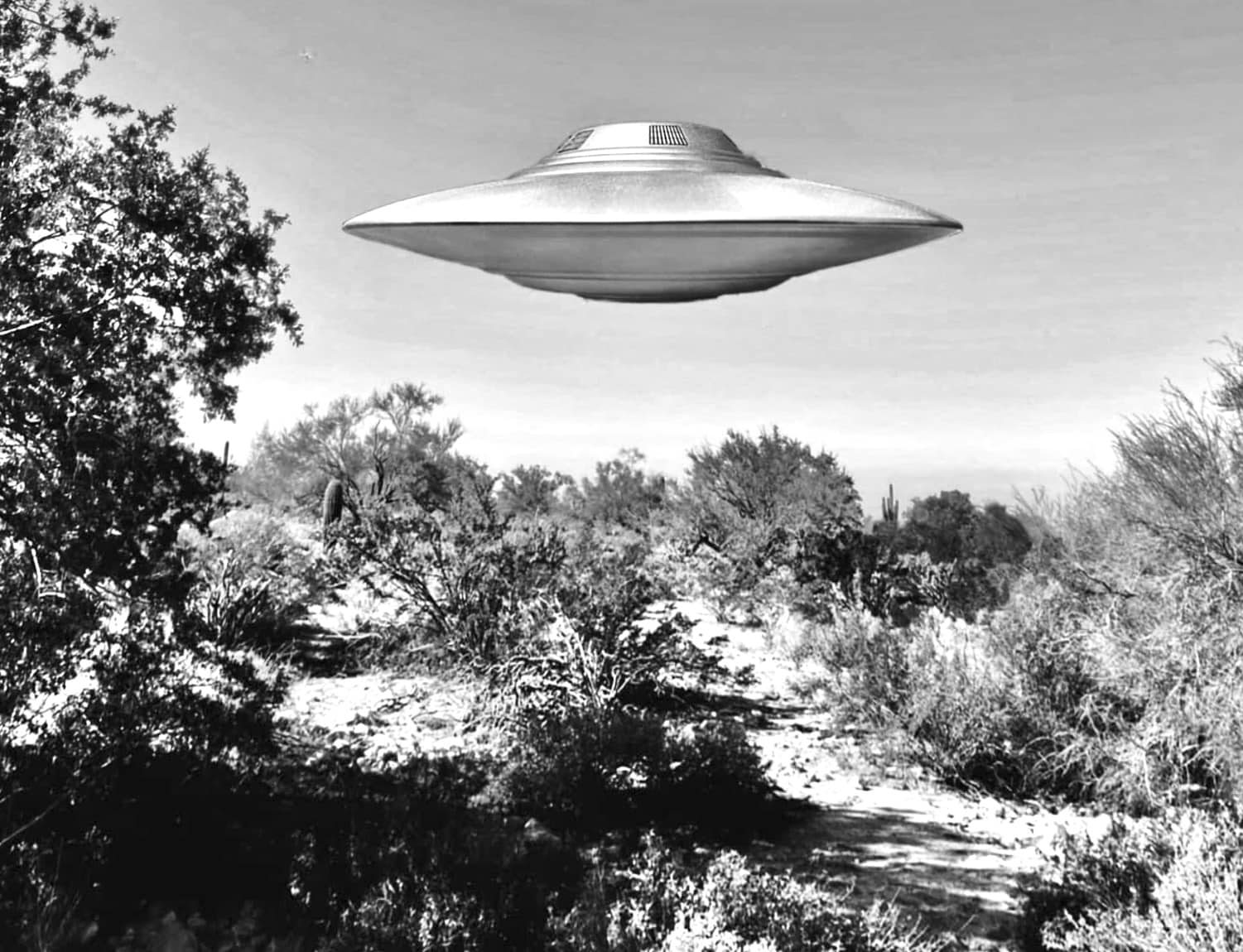 Area 51 UFO model build in Arizona