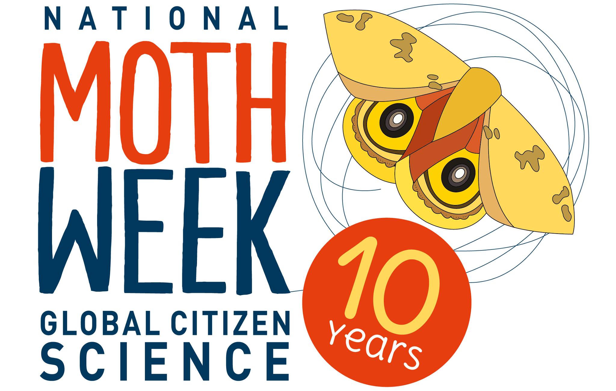 Dale - National Moth Week celebrates the beauty, life cycles, and ...