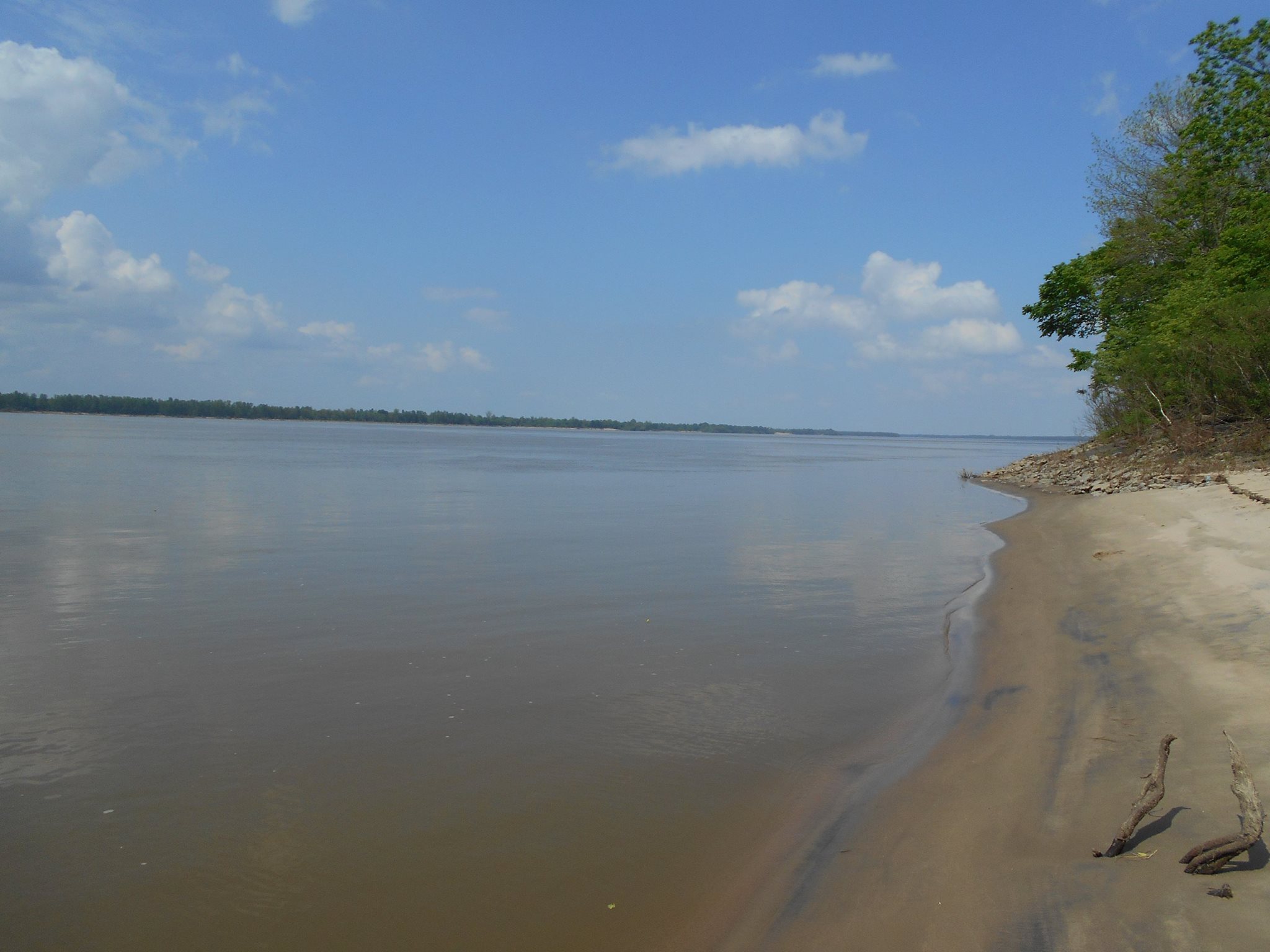 MISSISSIPPI RIVER HUNTING CLUB SHARES FOR SALE!! Are you tired of doing