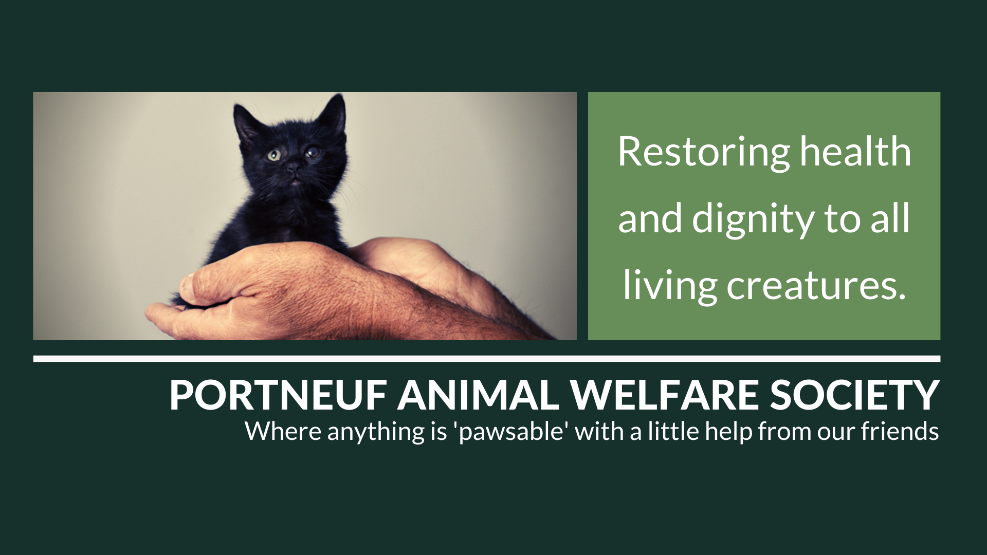 Anythings Pawsable... - Anythings Pawsable Foundation Inc