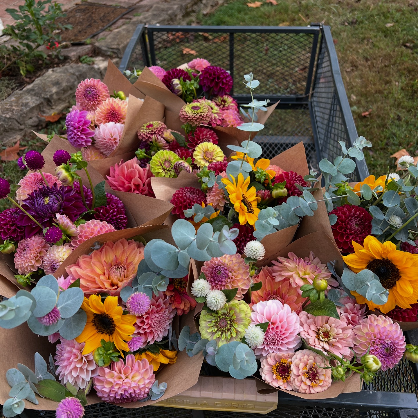 Home on the Hill Cut Flowers | Lexington IN