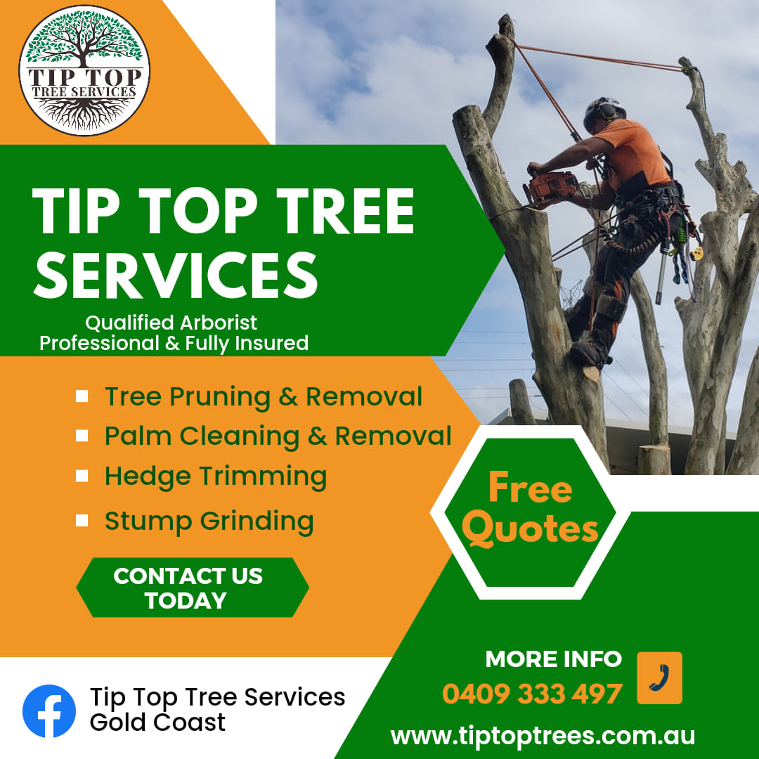 Tip Top Tree Services Gold Coast
