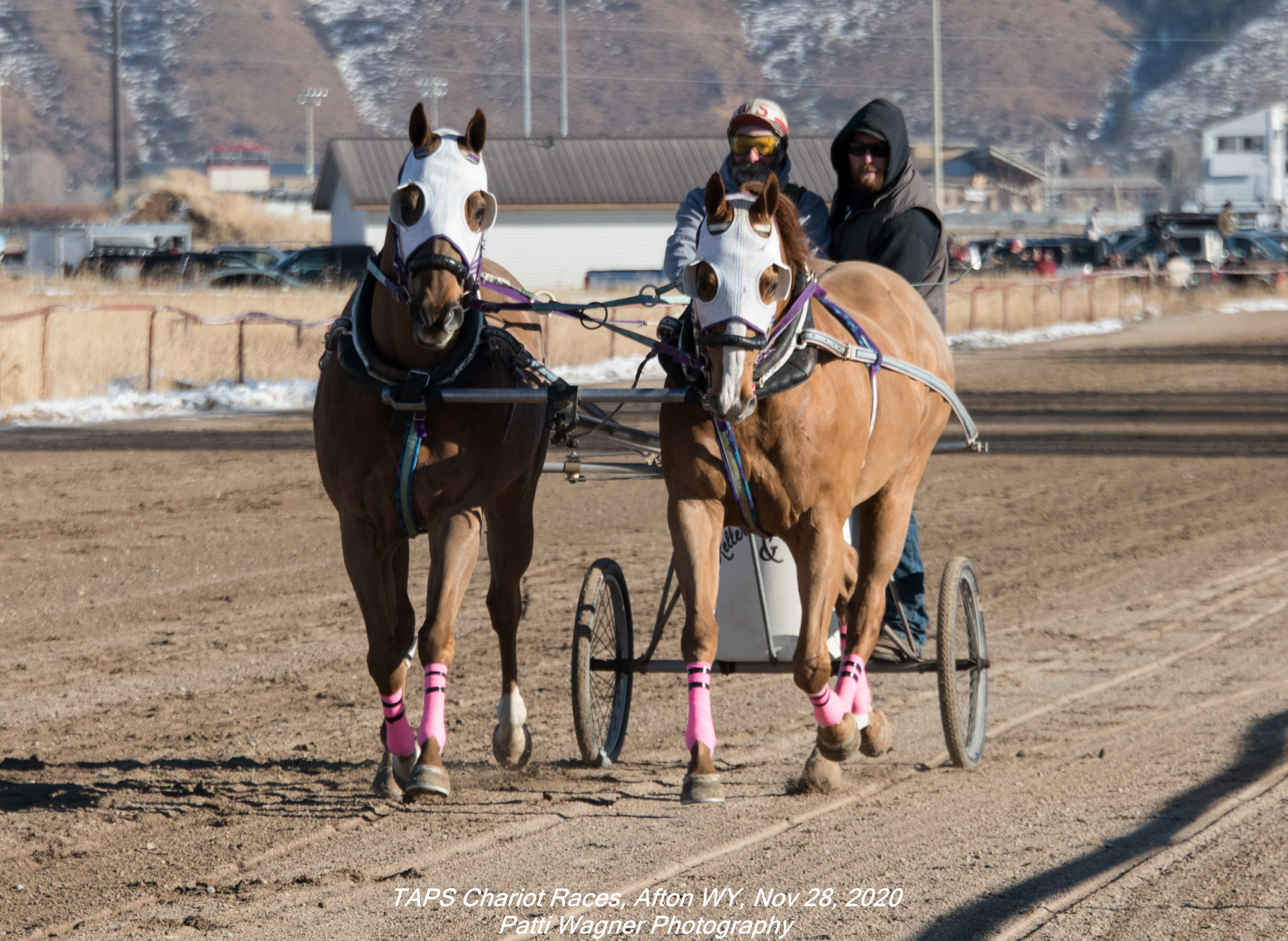 Our 7th... - All American Cutter/Chariot Races - Afton, WY | Facebook