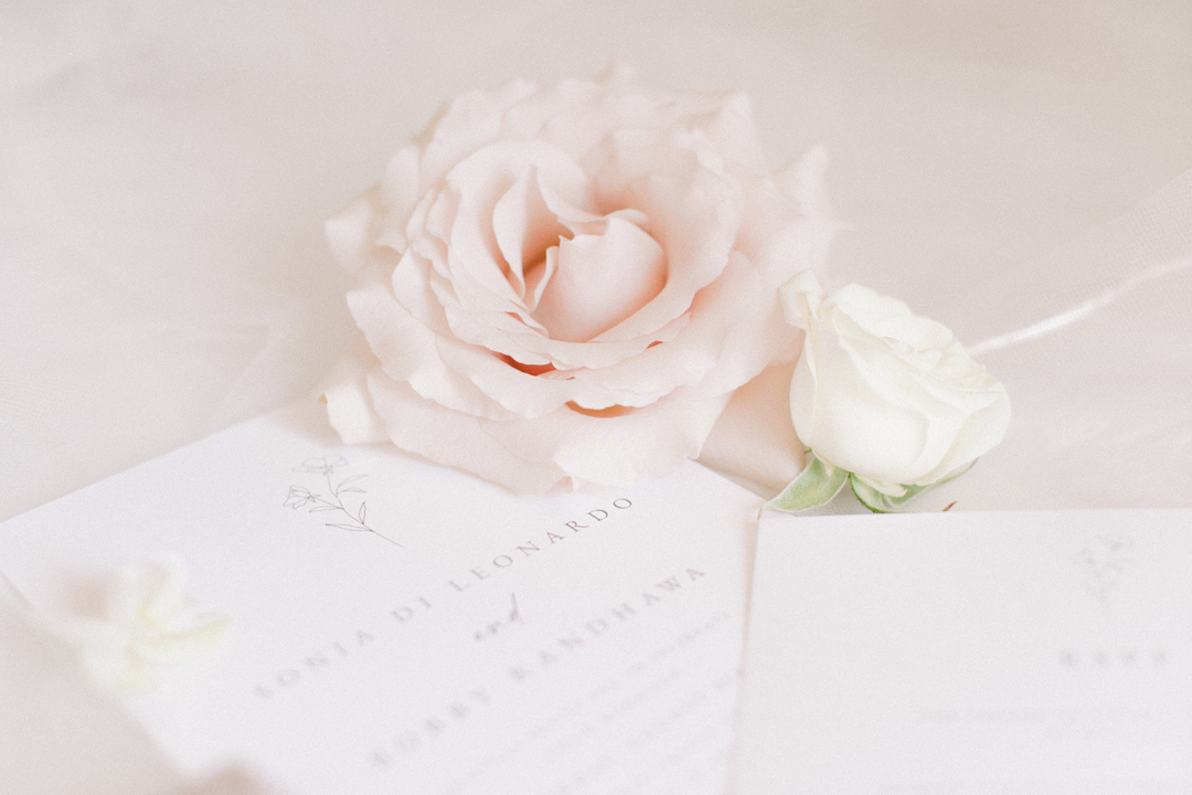 Lisa Rivard Photography