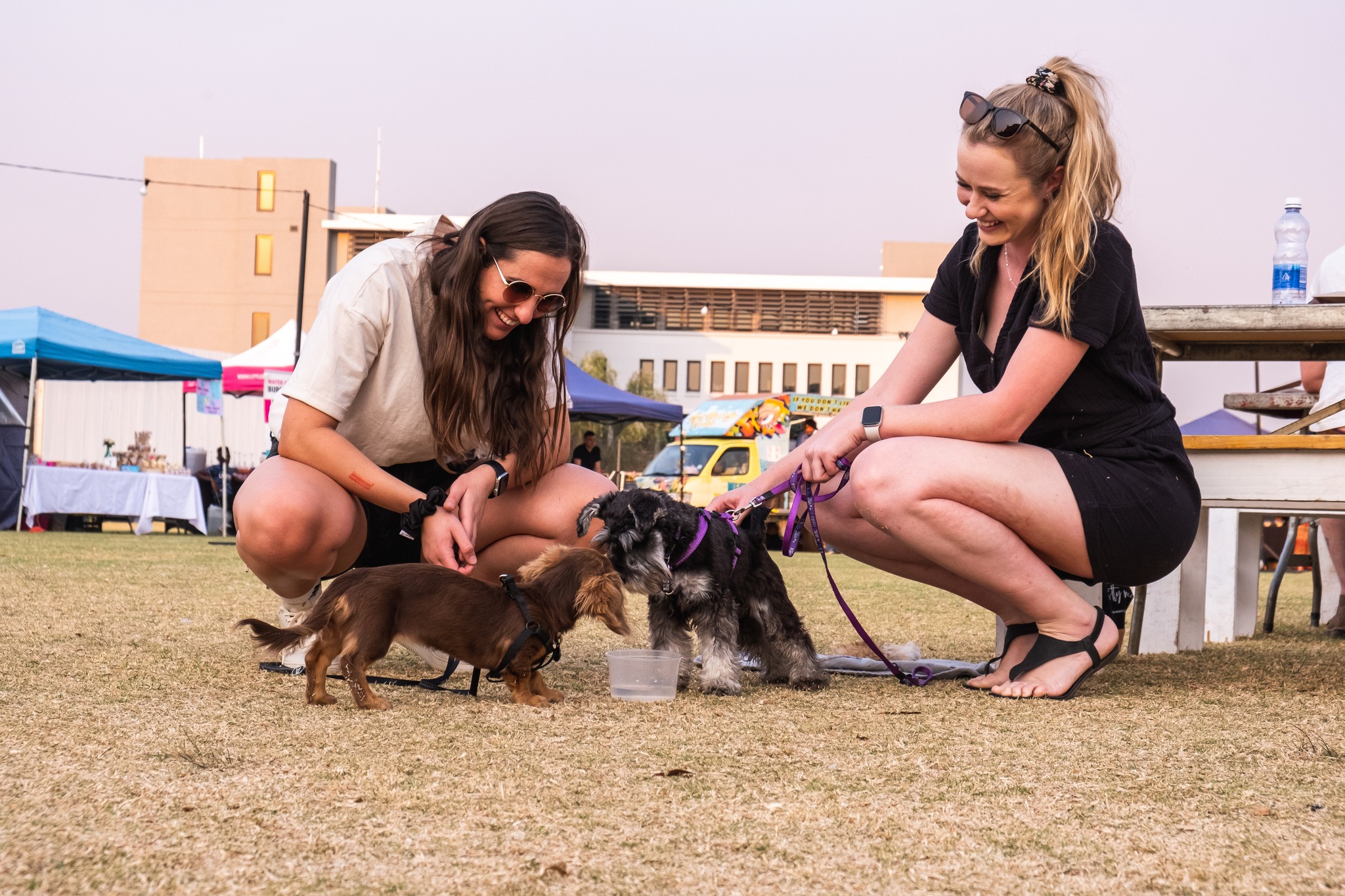 Deep Roots Markets | Pretoria