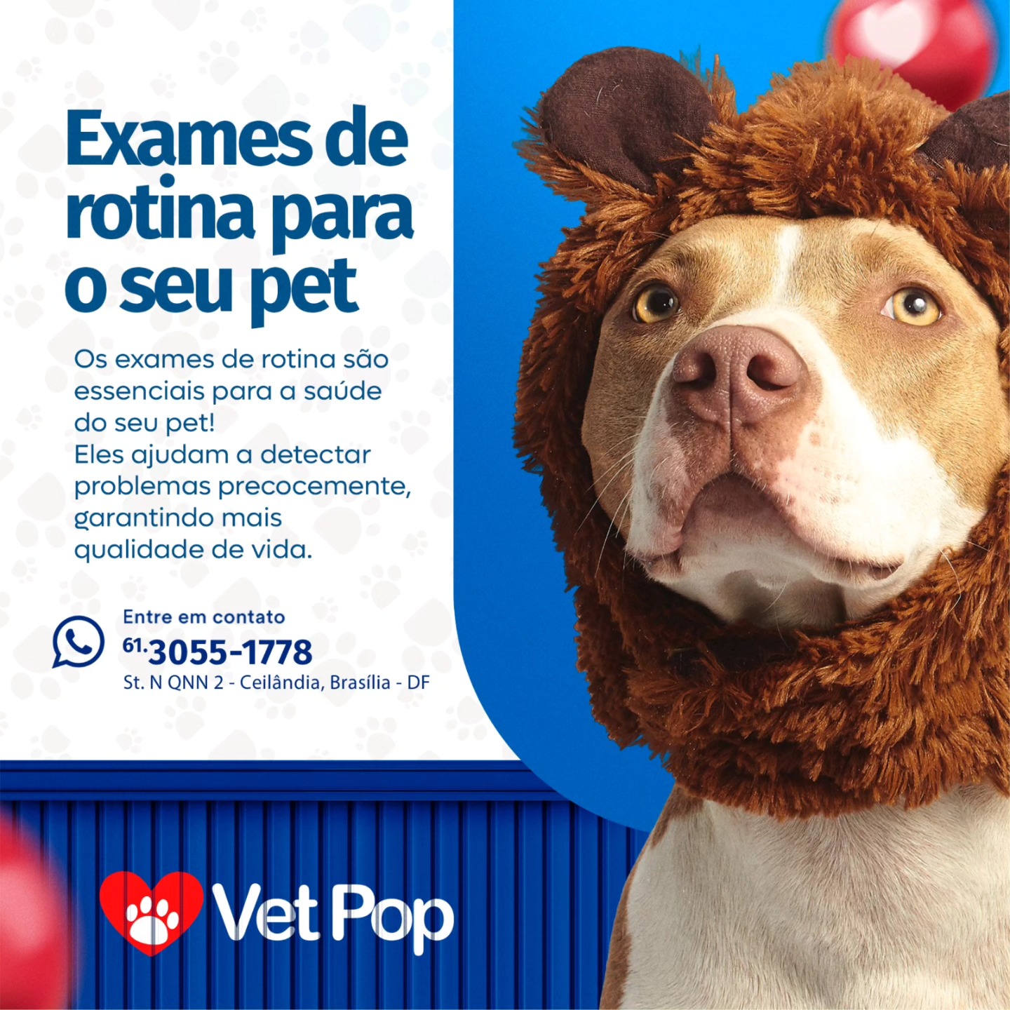 Vet - 🐾 Exames de rotina: a melhor forma de cuidar da saúde do seu pet ...