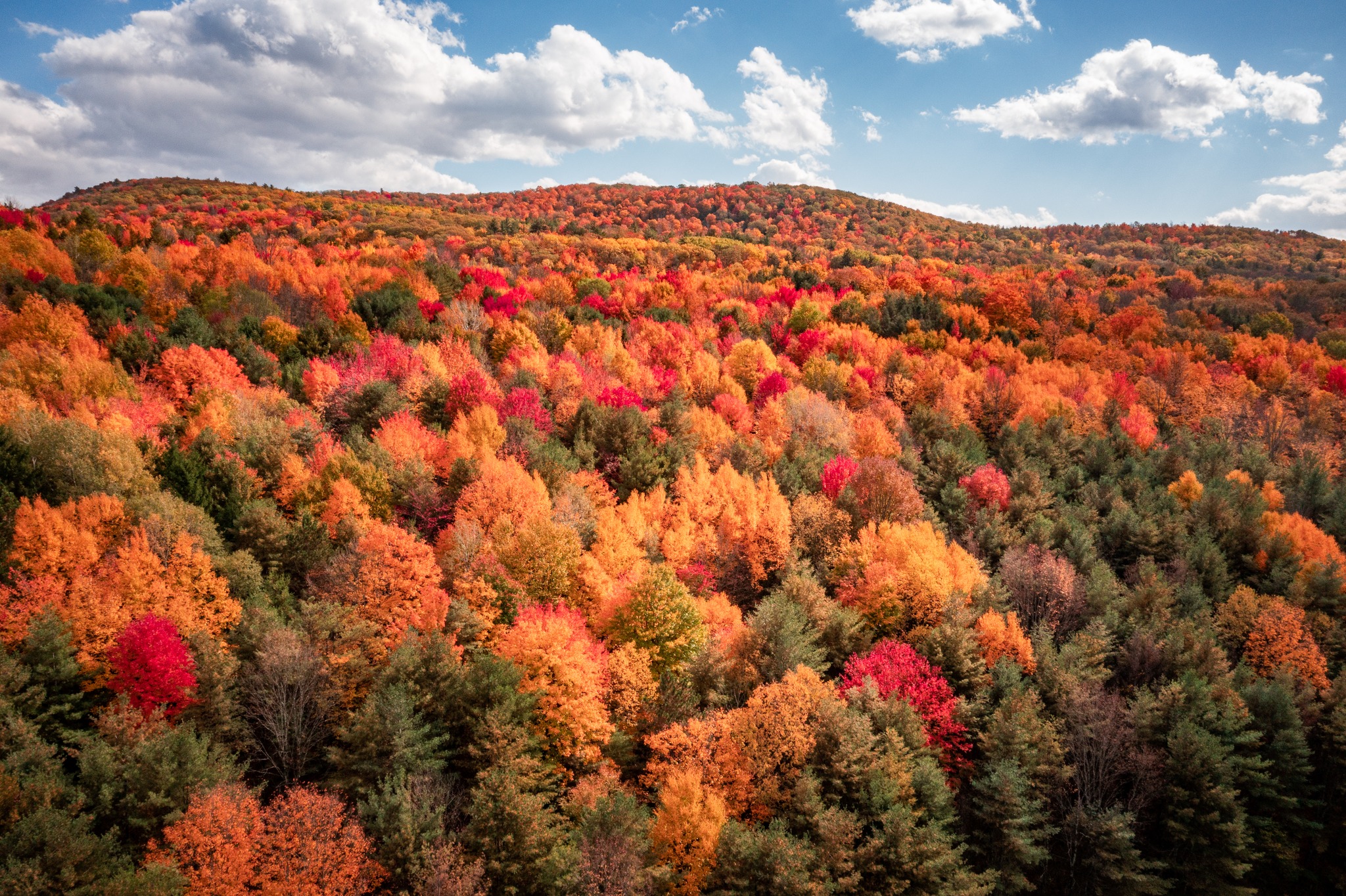 Dan Simonds Photography