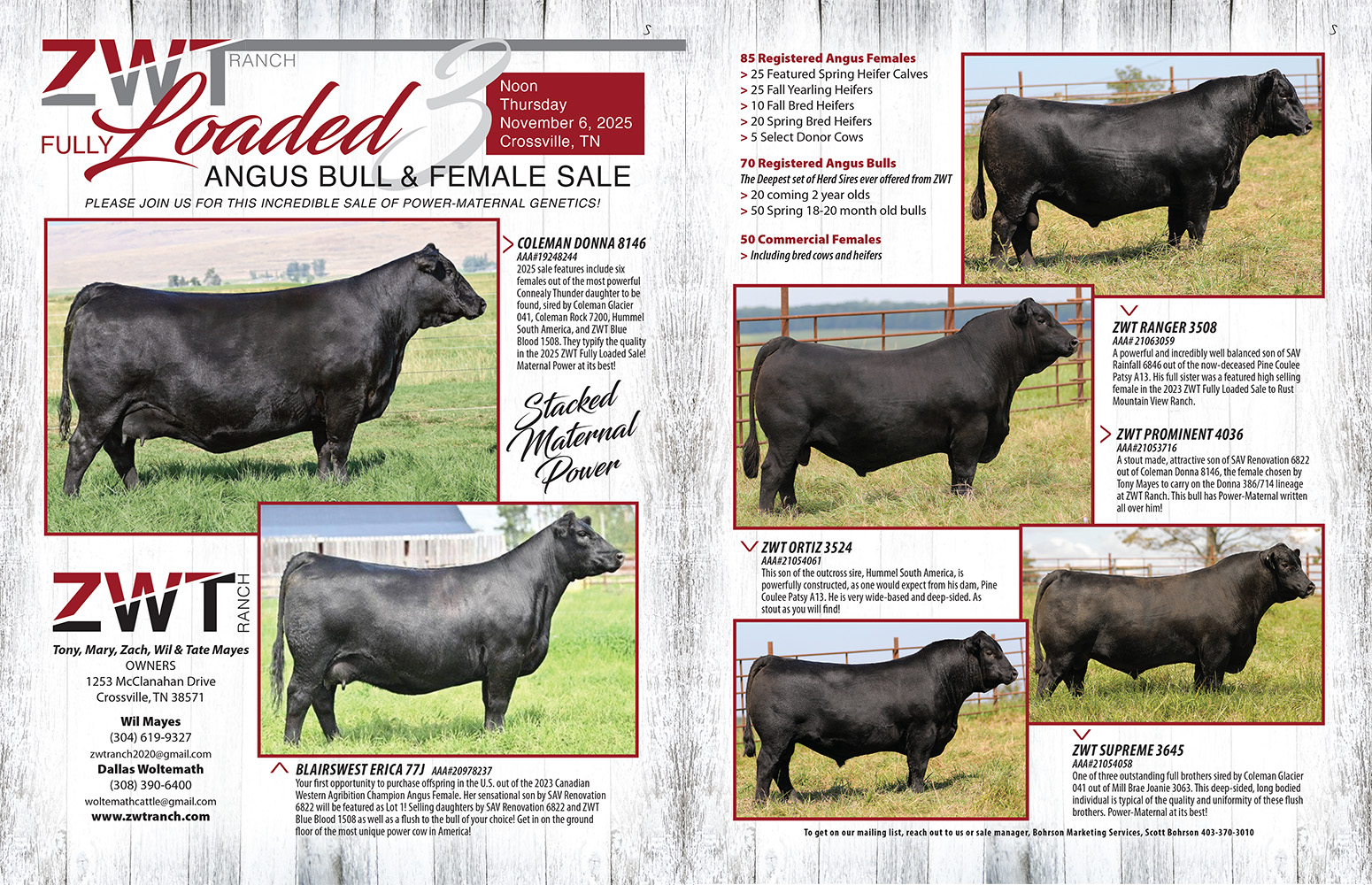 Stockyard Media - Make sure to get your CATALOG REQUEST in... | Facebook