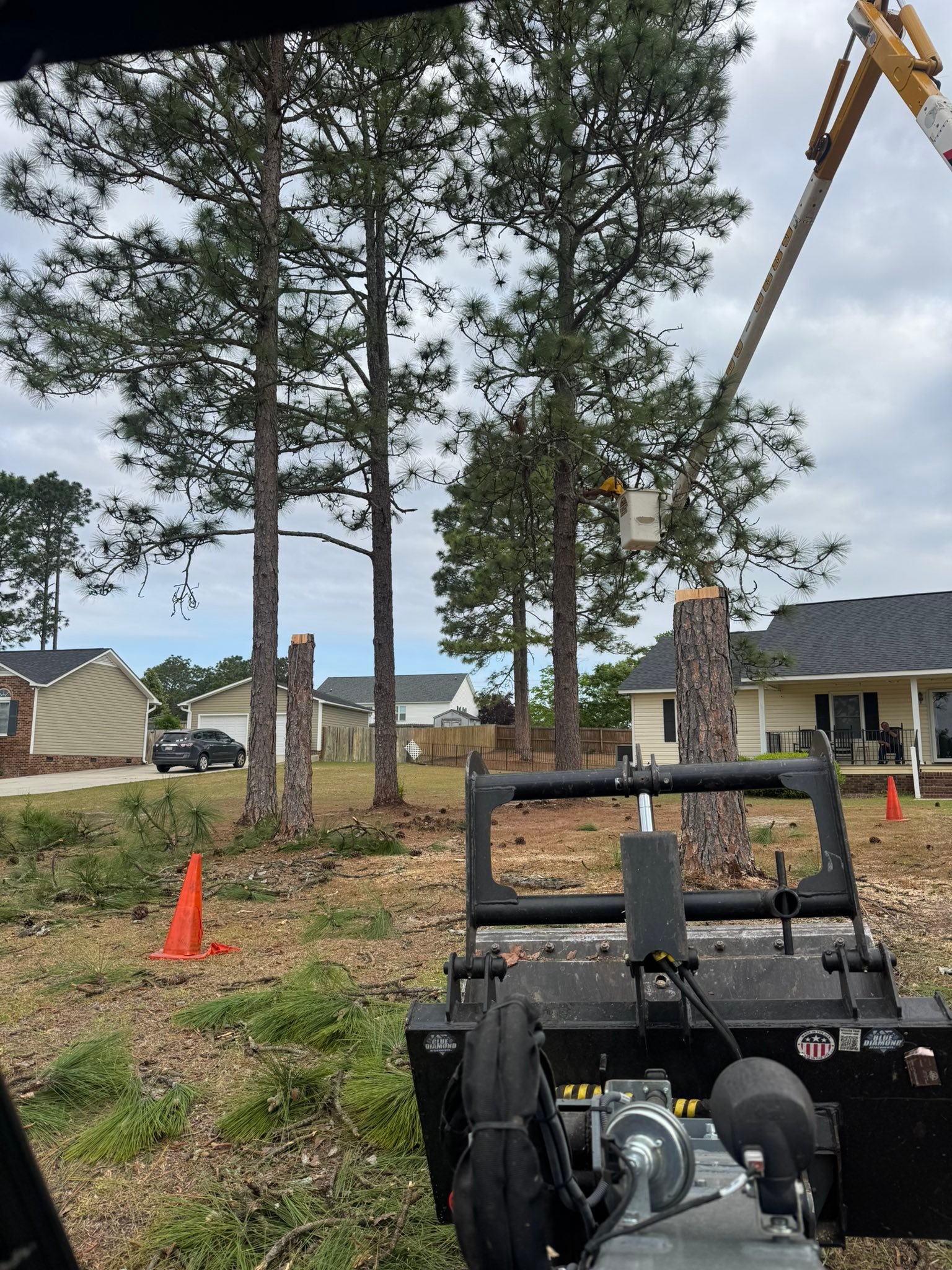 Premier Services LLC Tree & Stump Removal | Darlington SC