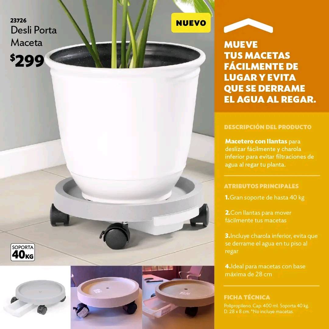 Betterware Monterrey... - Betterware Monterrey y Guadalupe