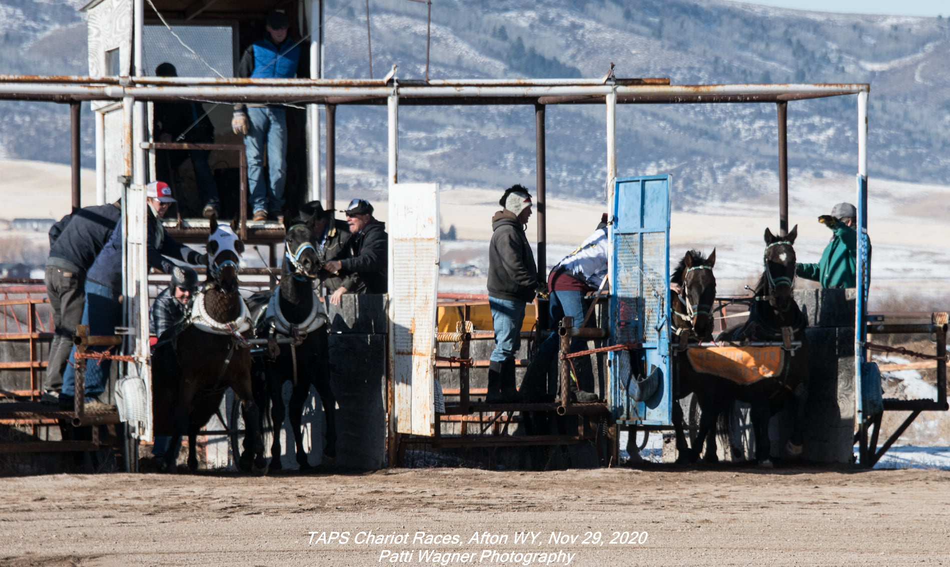 All... - All American Cutter/Chariot Races - Afton, WY