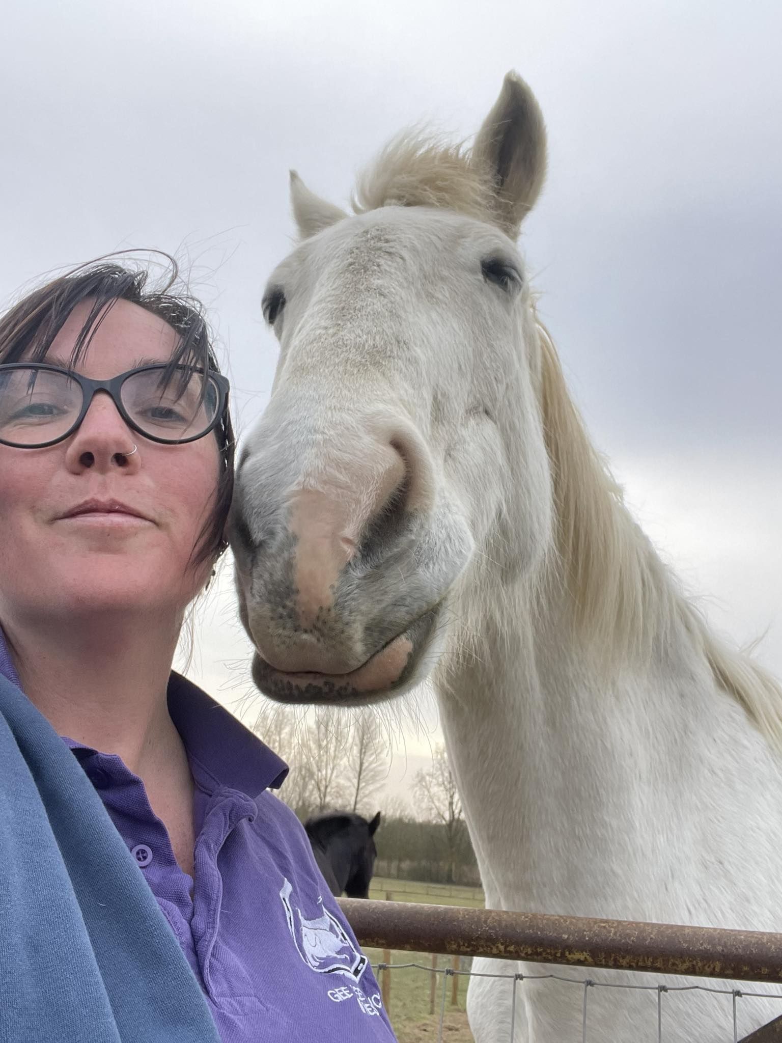 Gee Gees Ranch Healing Acres CIC | Bury St. Edmunds