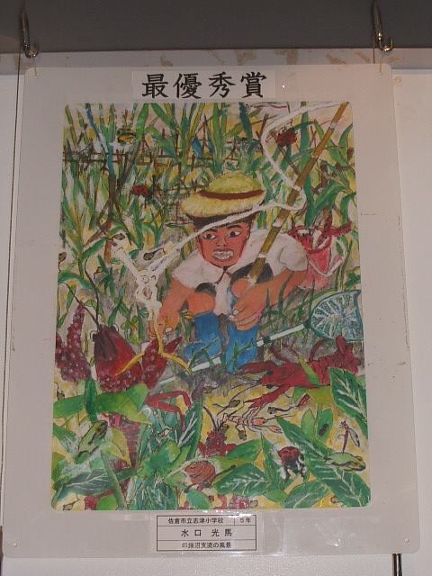 水辺の風景画コンクール 入賞作品展示中】 水辺の風景を描いた印旛沼