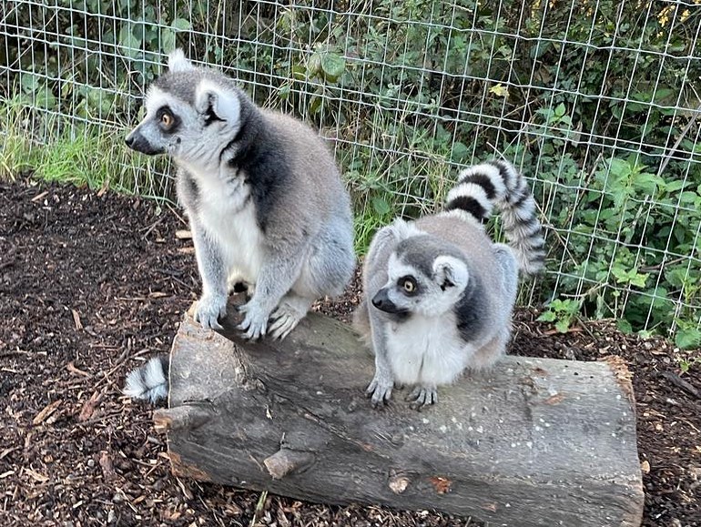 Strelley Wildlife Conservation Facility | Nottingham
