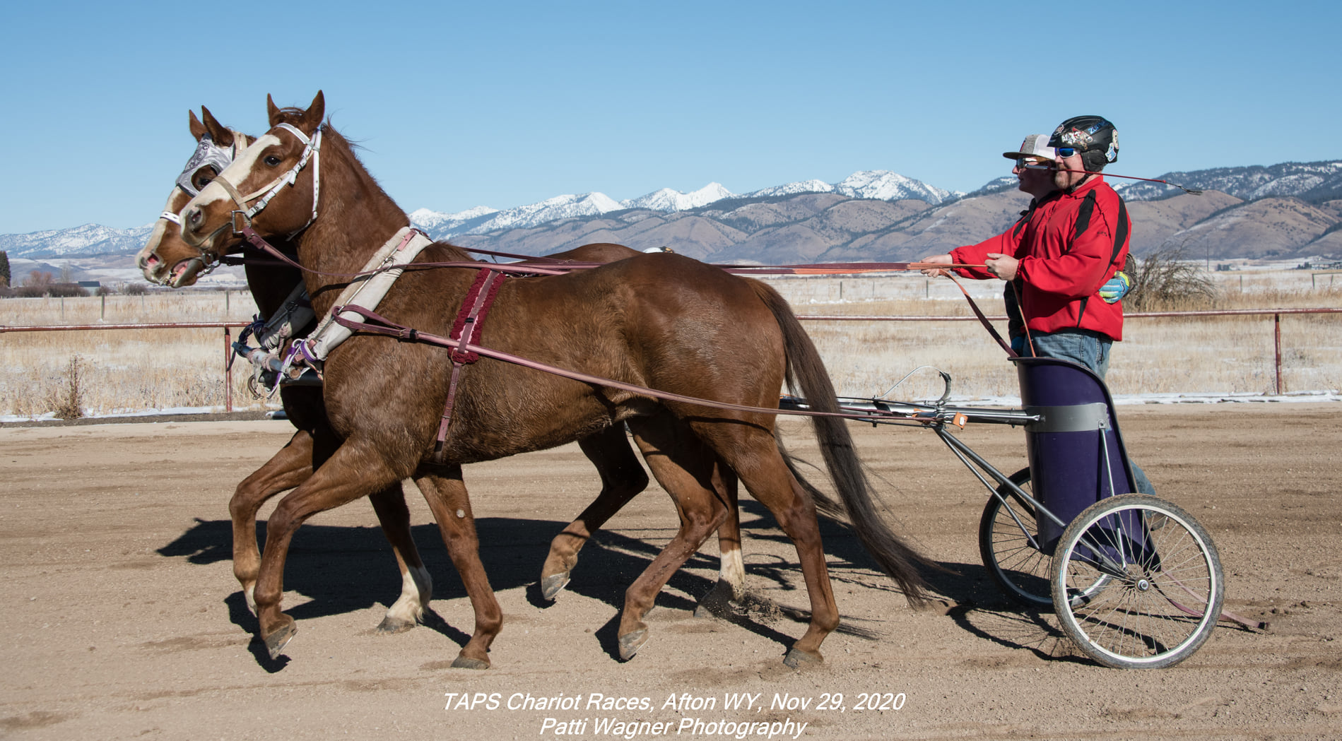 Our third... - All American Cutter/Chariot Races - Afton, WY