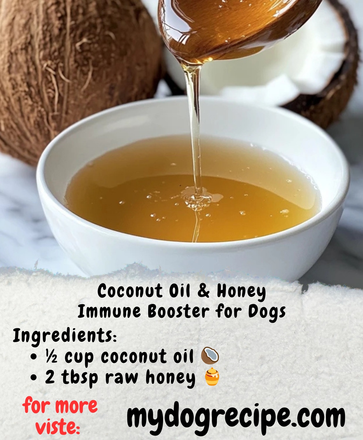 Curated visual reference: Homemade Dog Food Recipes Coconut Oil Honey Immune Booster For Photo Inspiration