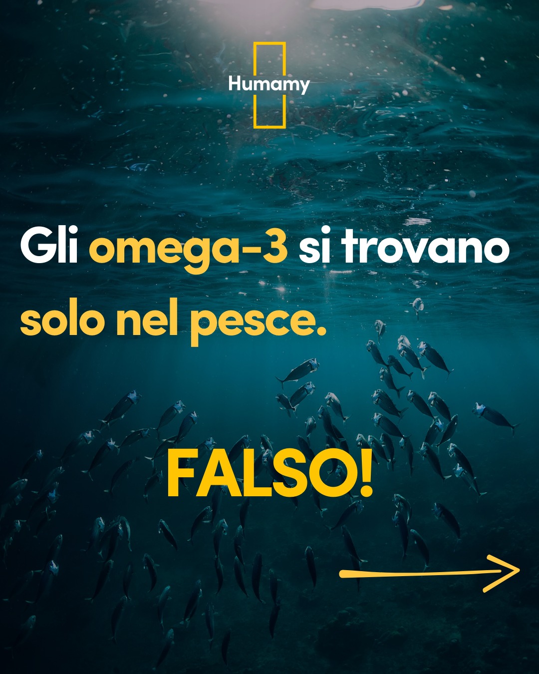 Humamy