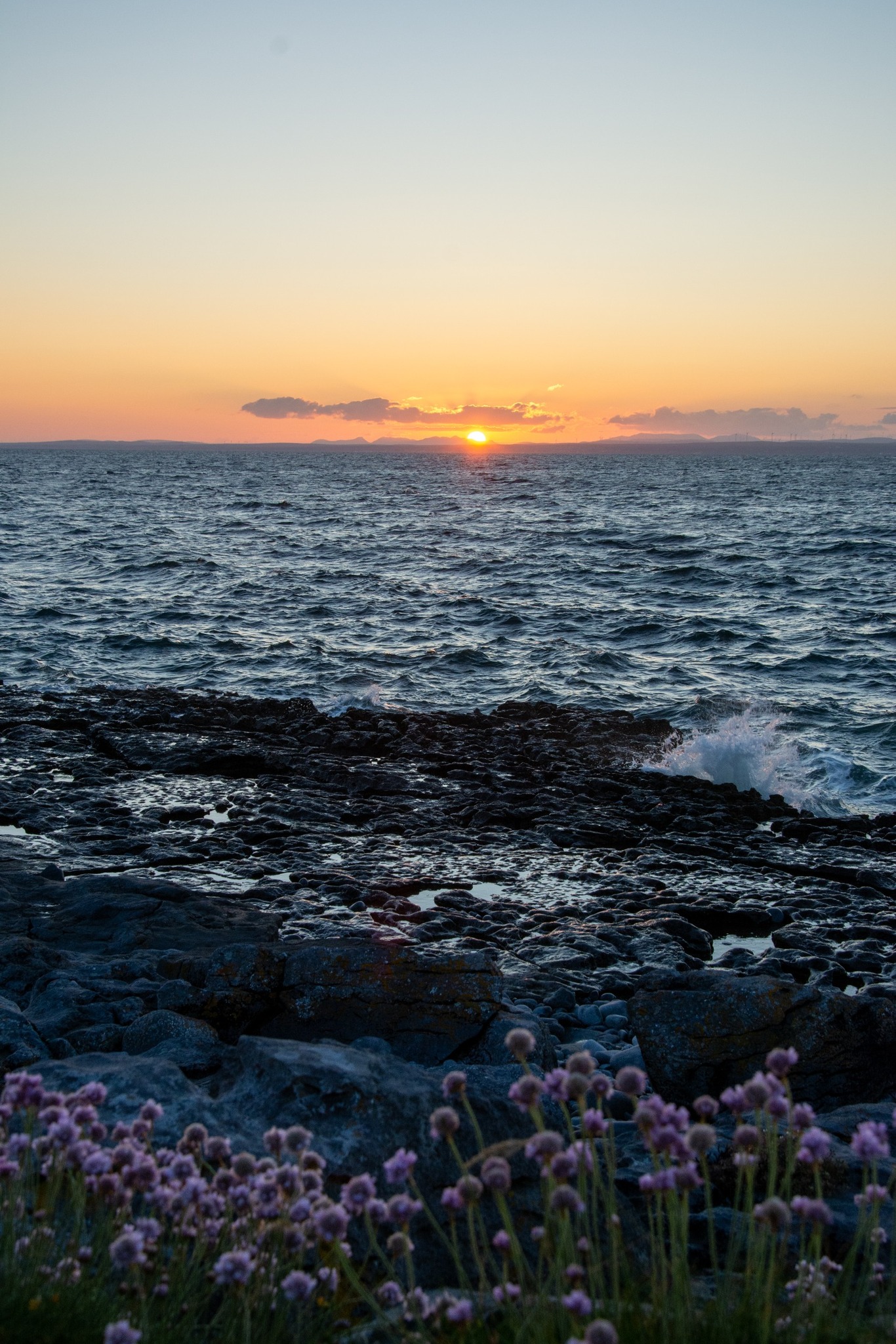 Tara Roche Photography