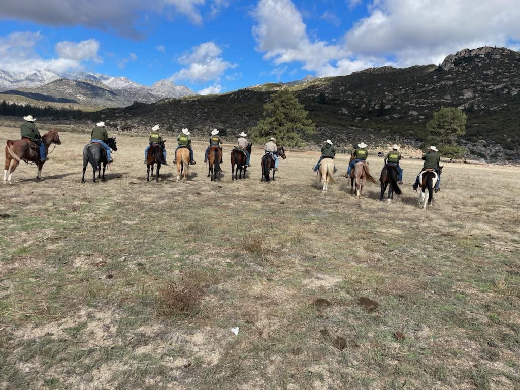 Garner Ranch | Mountain Center CA
