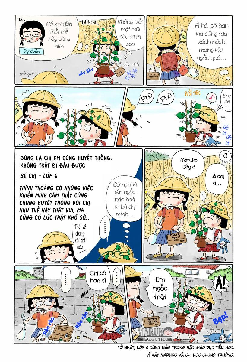 Vietsub Vietsub Chibi Maruko Chan Shirokane Vnfansub