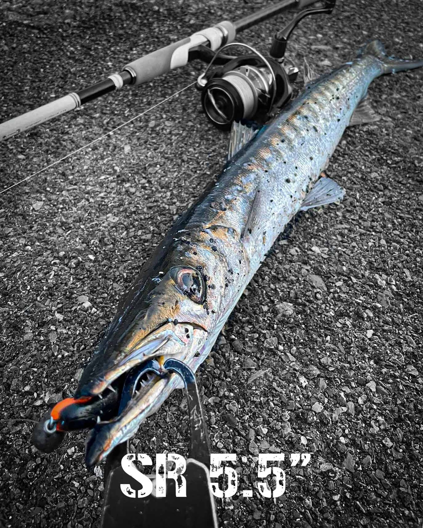 barracuda fishing rod and reel Hookup Lures Tube Lure Green The Hookup Lures Barracuda Tube Lure serves up a premium saltwater fishing jig perfect for a variety of species Big Barracuda Catch and Release