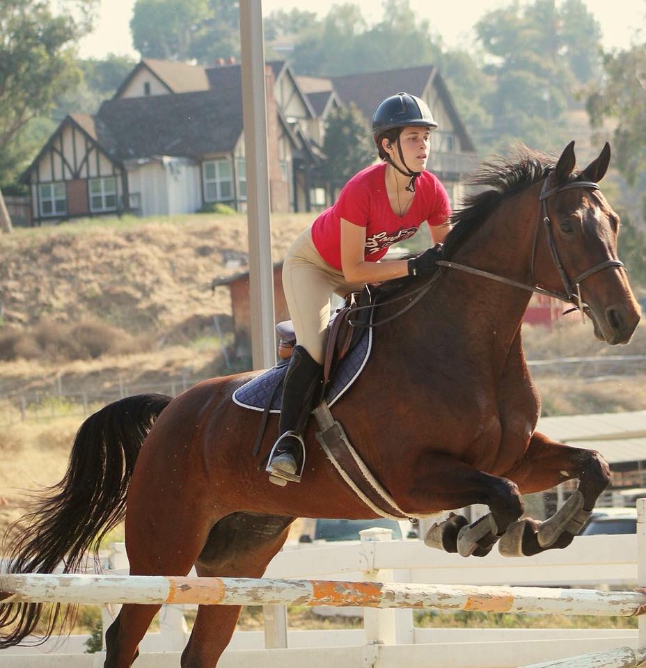 Devon Equestrian Academy | Covina CA