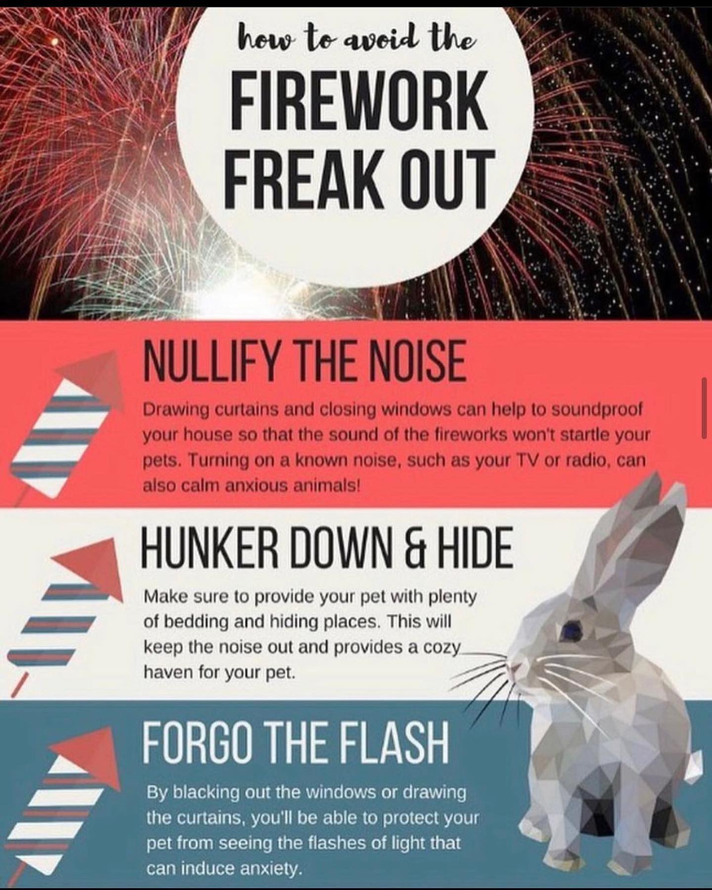 FIREWORKS are terrifying for... - Rabbit Rescue & Rehab | Facebook