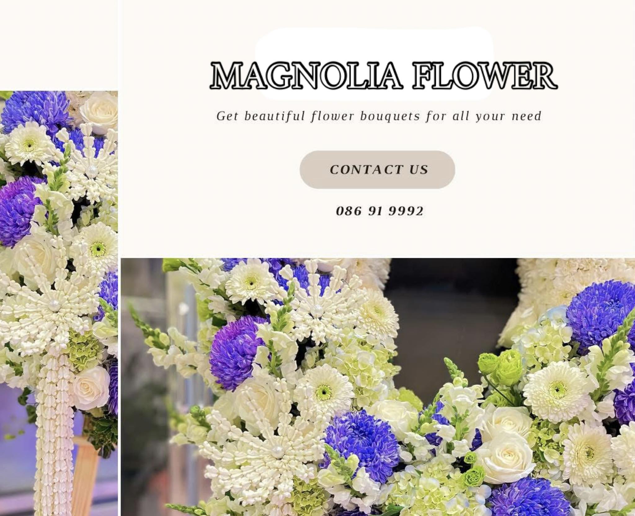 Magnolia Flower | Phnom Penh