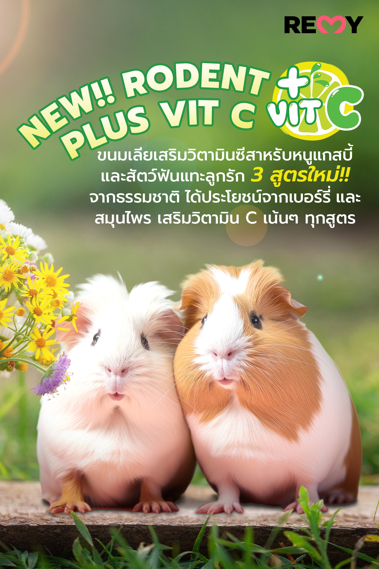 REMY Pets - 🐭 NEW!! RODENT PLUS VIT C 🐰 ขนมเลียสูตรใหม่!... | Facebook