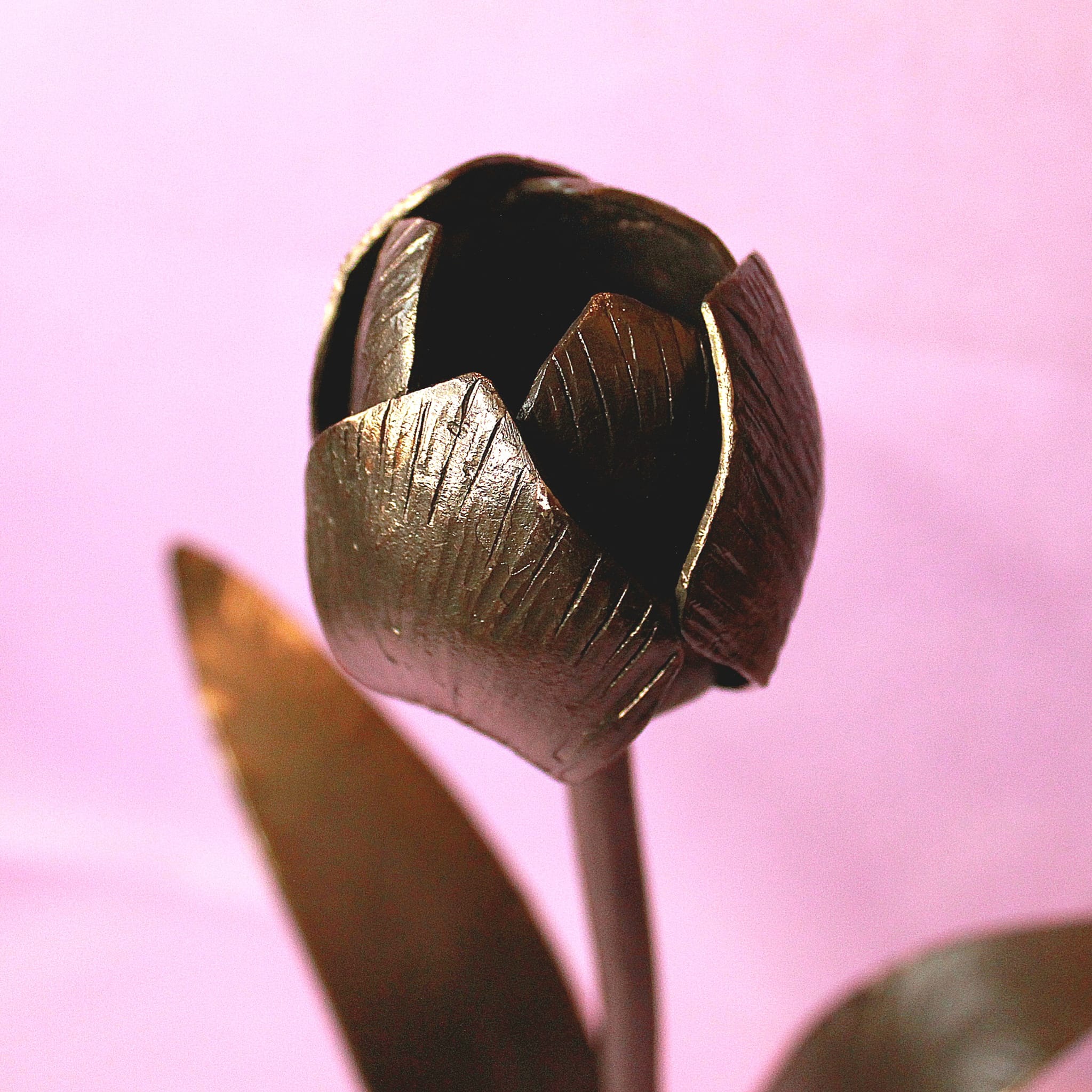 Forged Nature | Mullingar