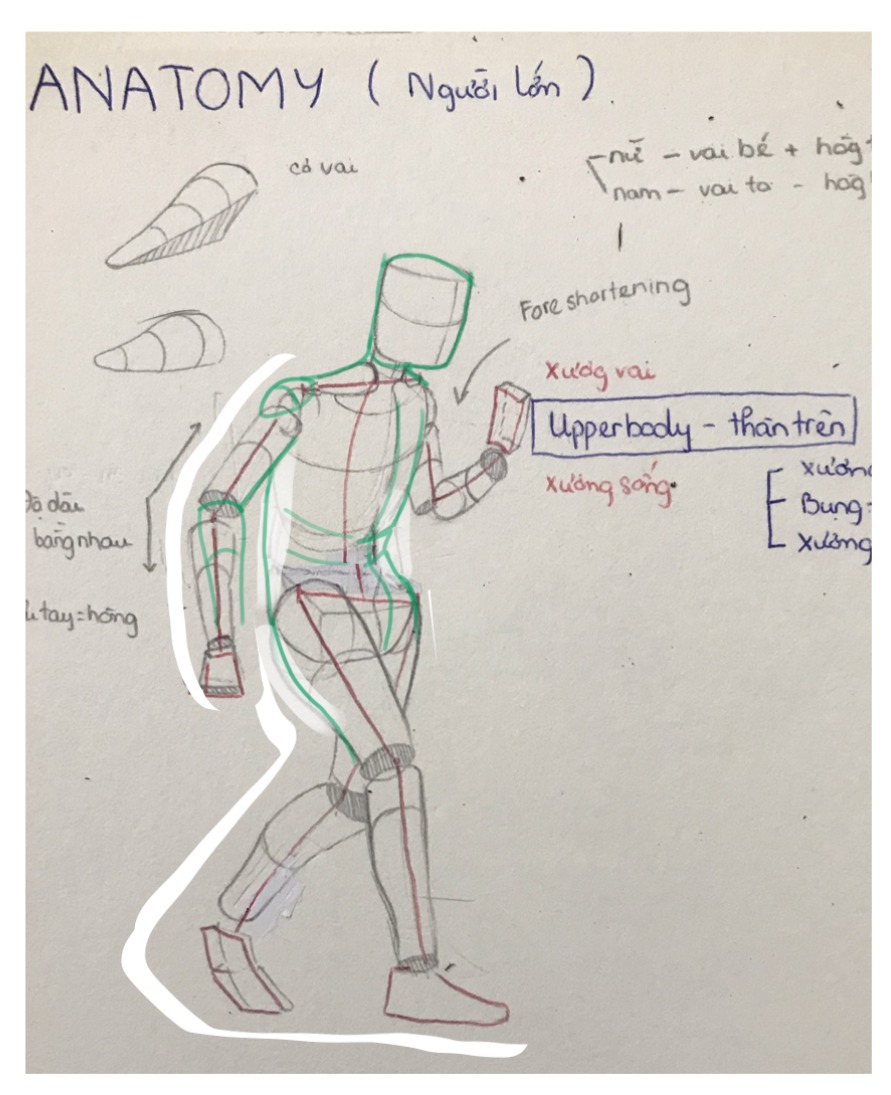 Moldy.Sketch - #moldytutorial Sketching basic lesson....