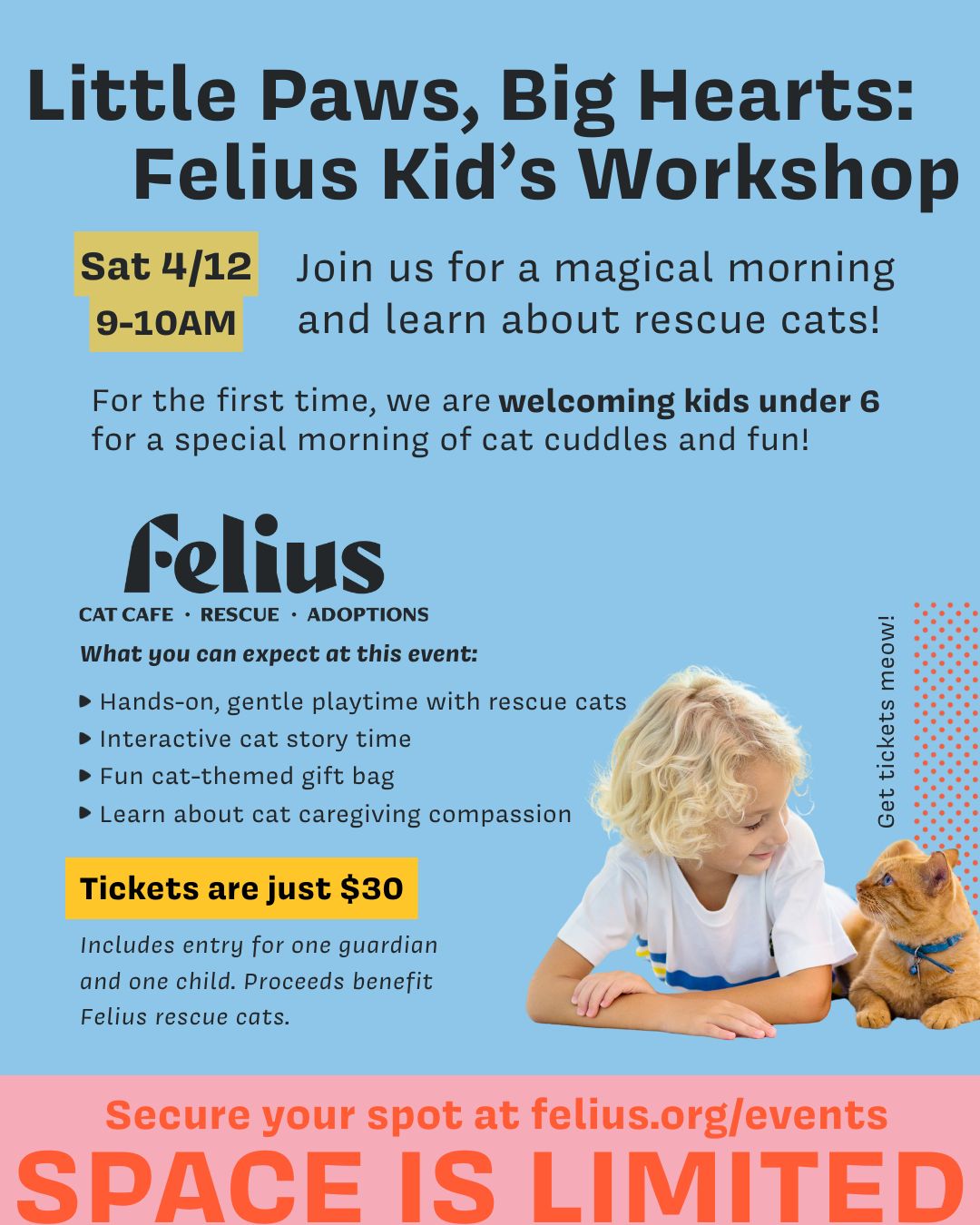 Felius - ⚠️Only 6 spots left for our Kitten Kindness Workshop⚠️ This is ...