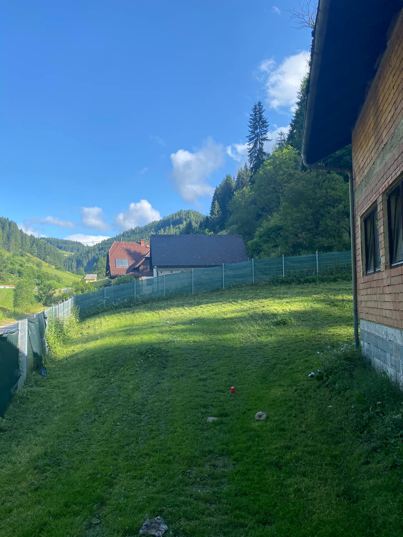Alles so schön gemäht 😍 Alle... - Stibi's Hundeparadies | Facebook