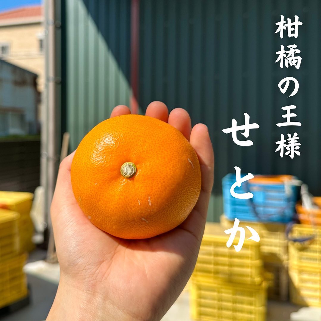 みかんの酒屋 なかじま | Higashiomi-shi Shiga