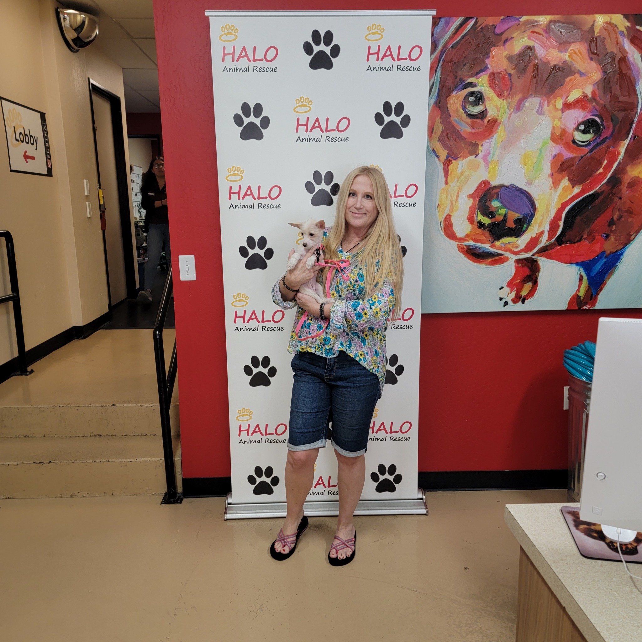 Congratulations to Analene, Ruby &... - HALO Animal Rescue | Facebook