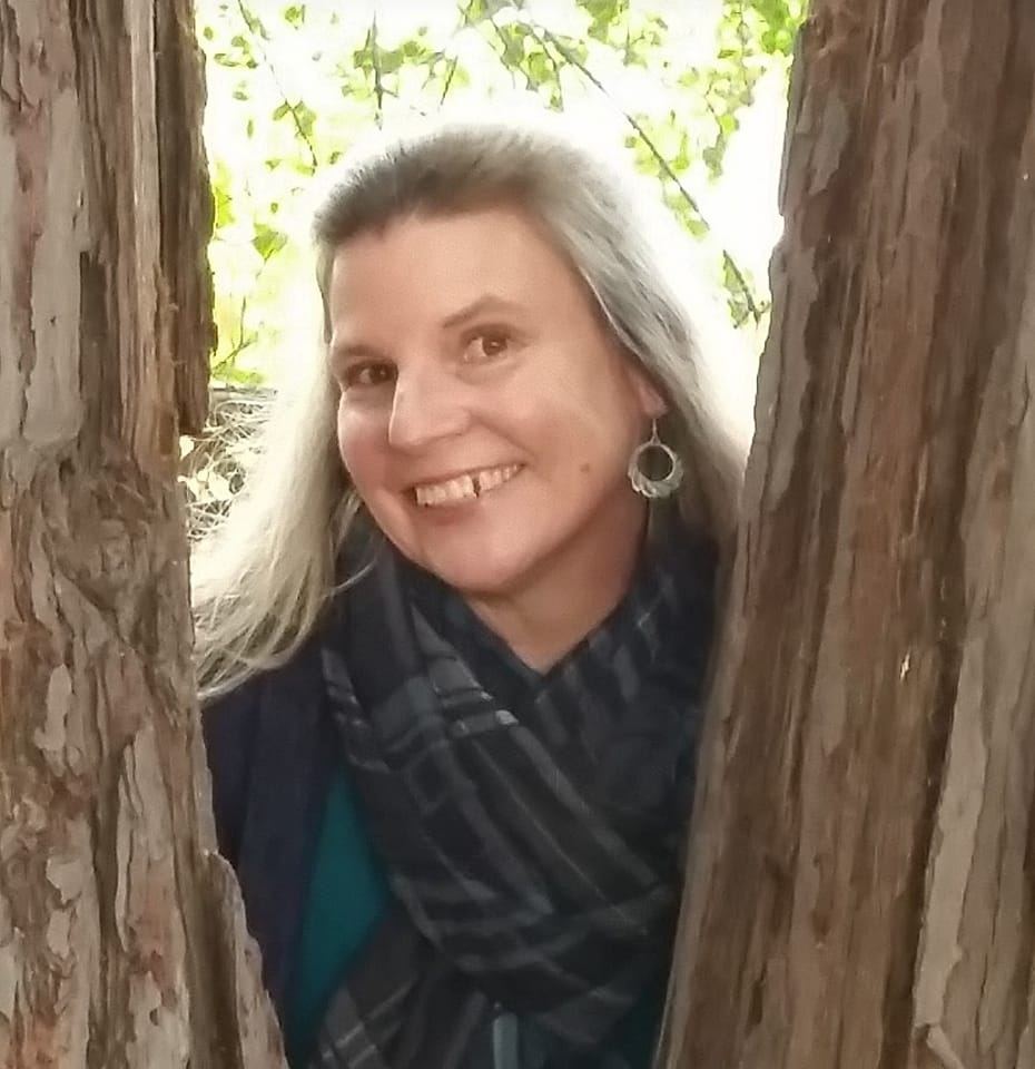 FIRE & TRAFFIC Questions, Chit Chat & support Shasta Co 