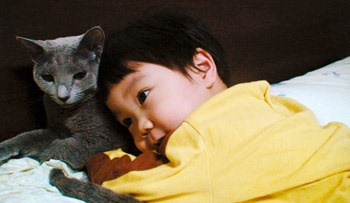 경기도 1인 크리에이터 - “우리집 댕댕이~ 냥이~ 얼매나 귀엽게요 ...