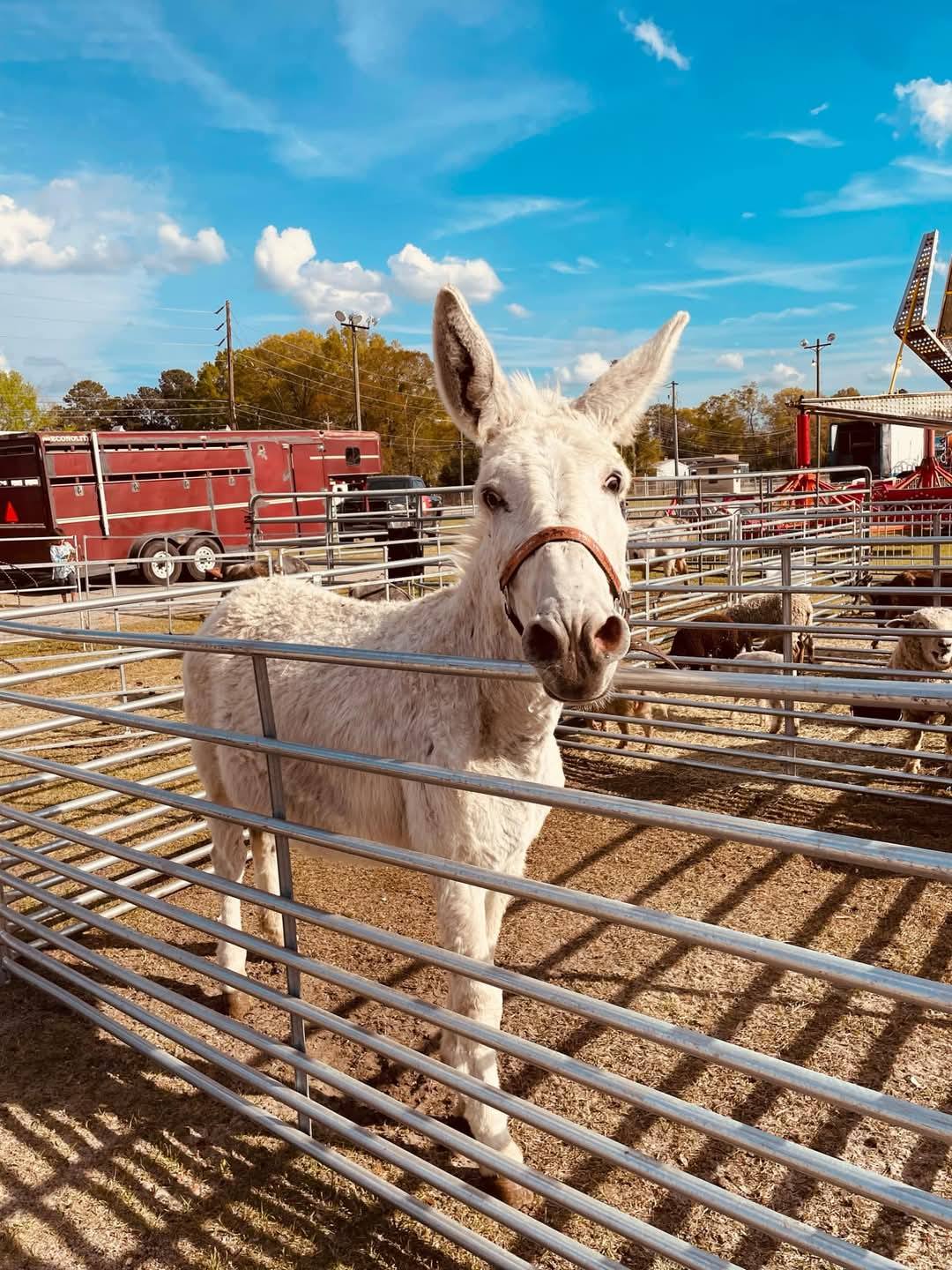Big M Ranch | Elizabethtown NC