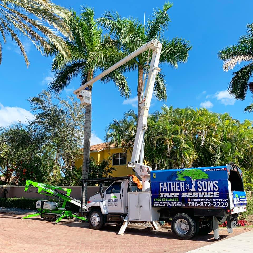 Father & Son’s Tree Service | Homestead FL