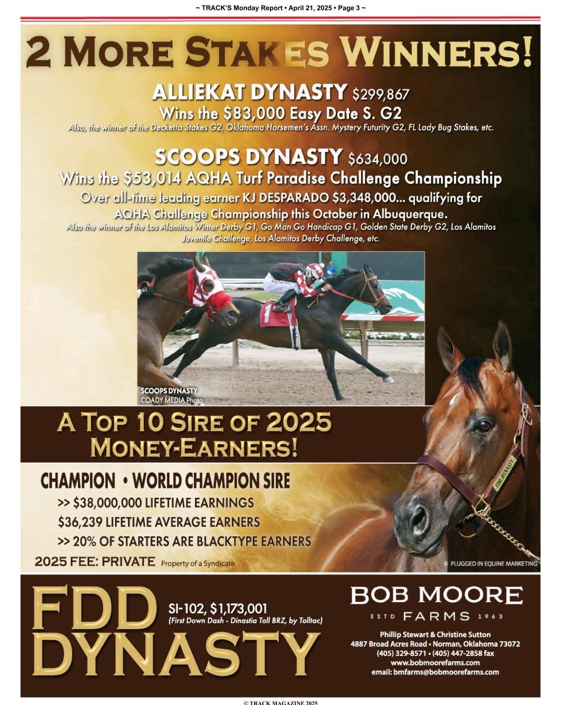 Fiestas - Fiesta comes from a long line of winners!!! 🐎 His sire FDD ...
