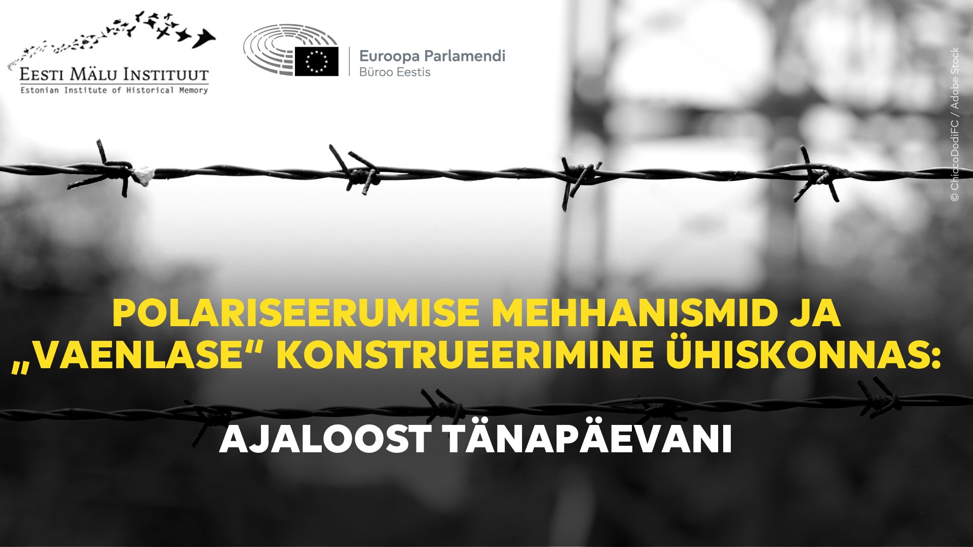 Polariseerumise mehhanismid ja 