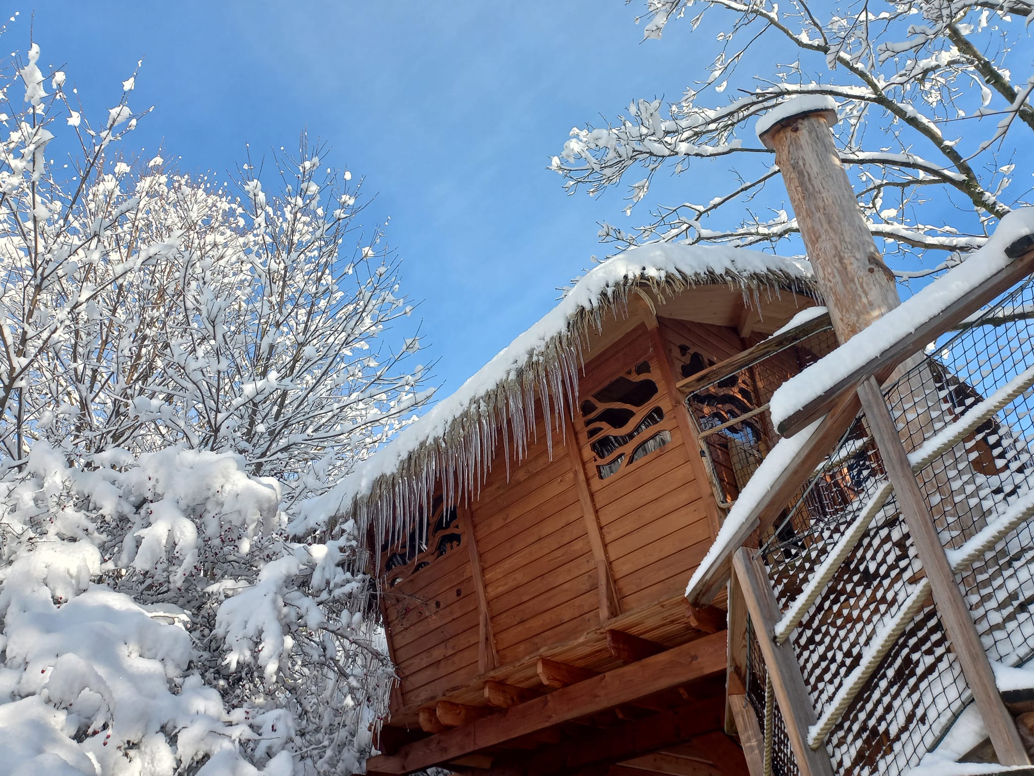 Treehouse Ještěd