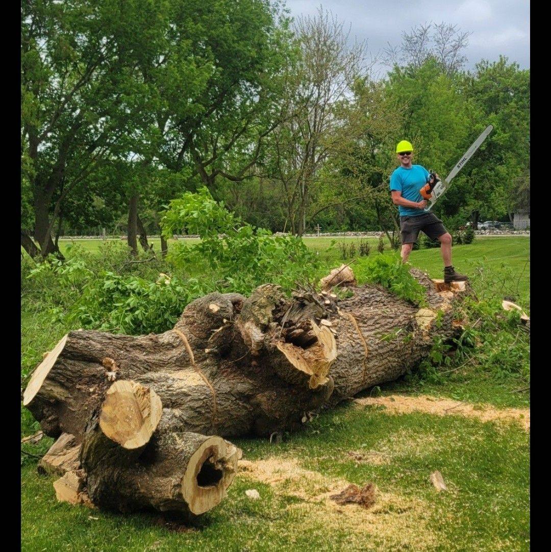 Threading the needle | Top Notch Tree Maintenance and Removal | Facebook