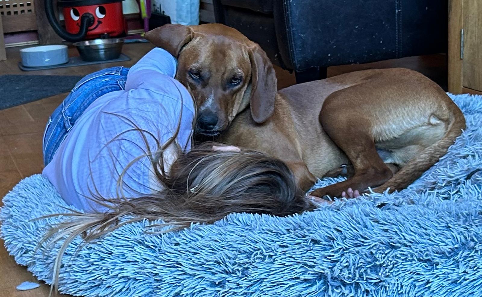 Roaming Tails Rescue