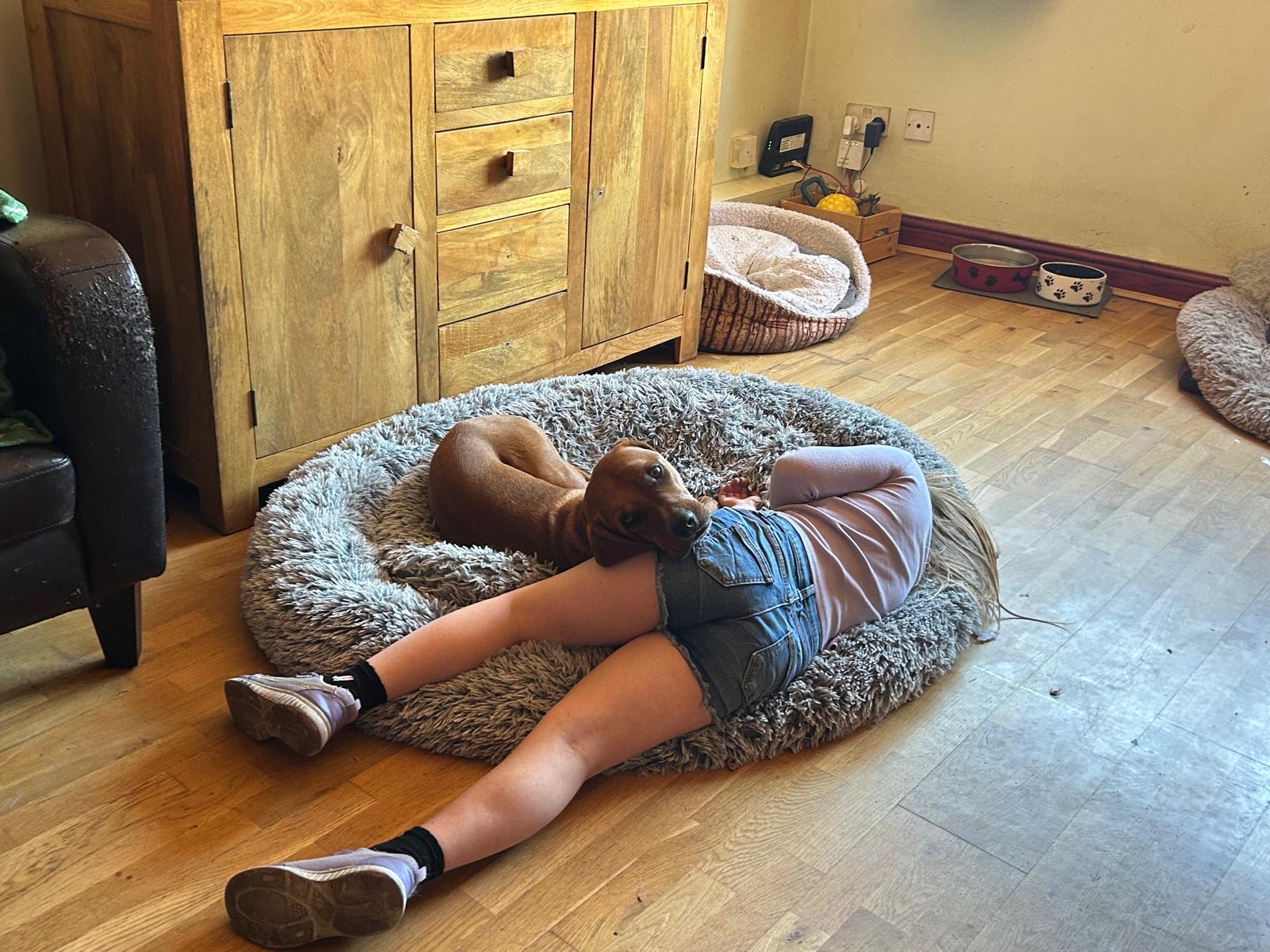 Roaming Tails Rescue
