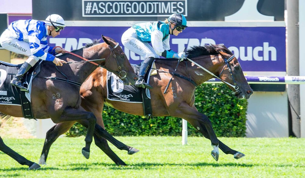 Simon Miller Racing | Ascot WA