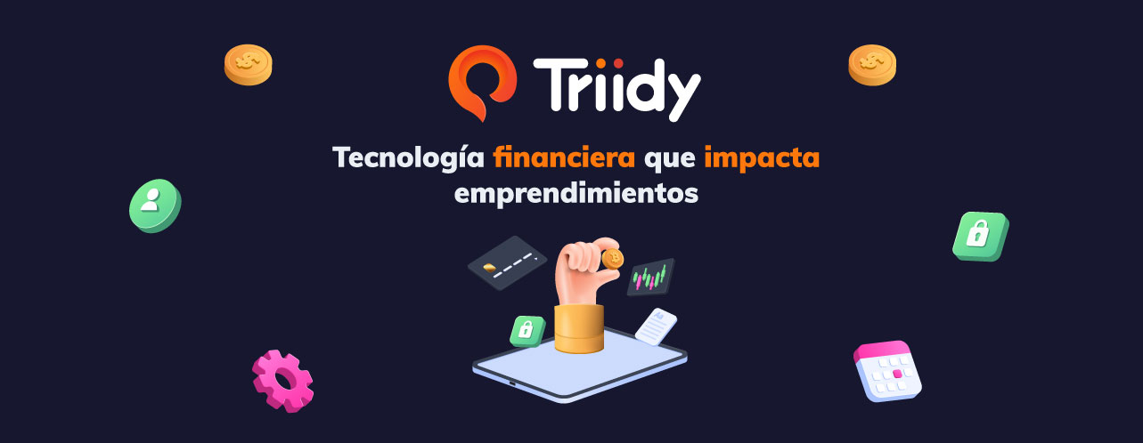 Triidy Soft