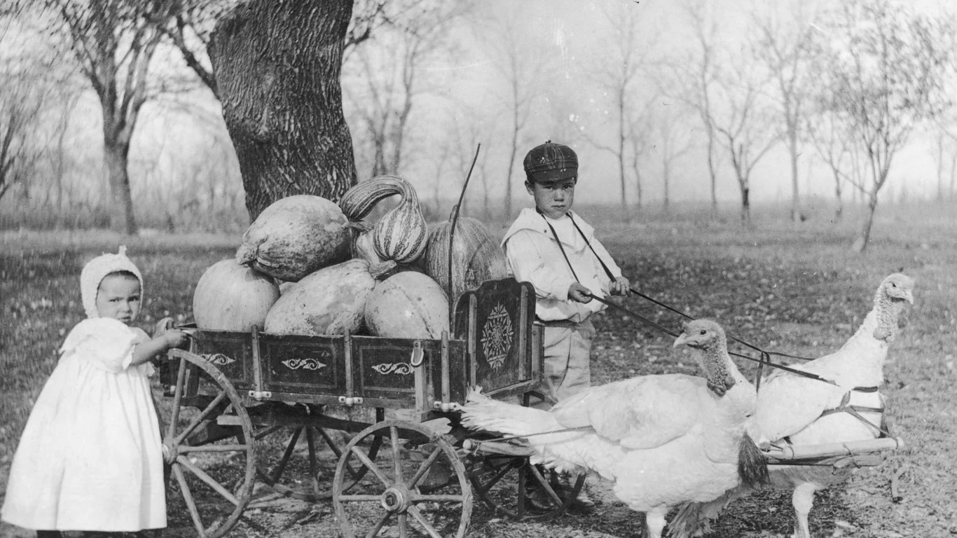 History - Photograph: Children with a Turkey Cart Date: Circa 1840s ...