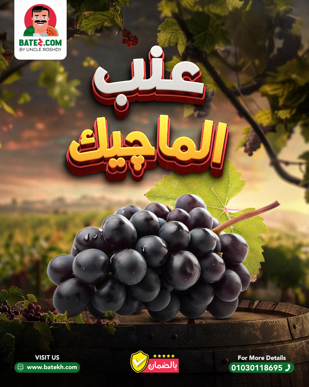بطـيـخ دوت كـوم | Giza