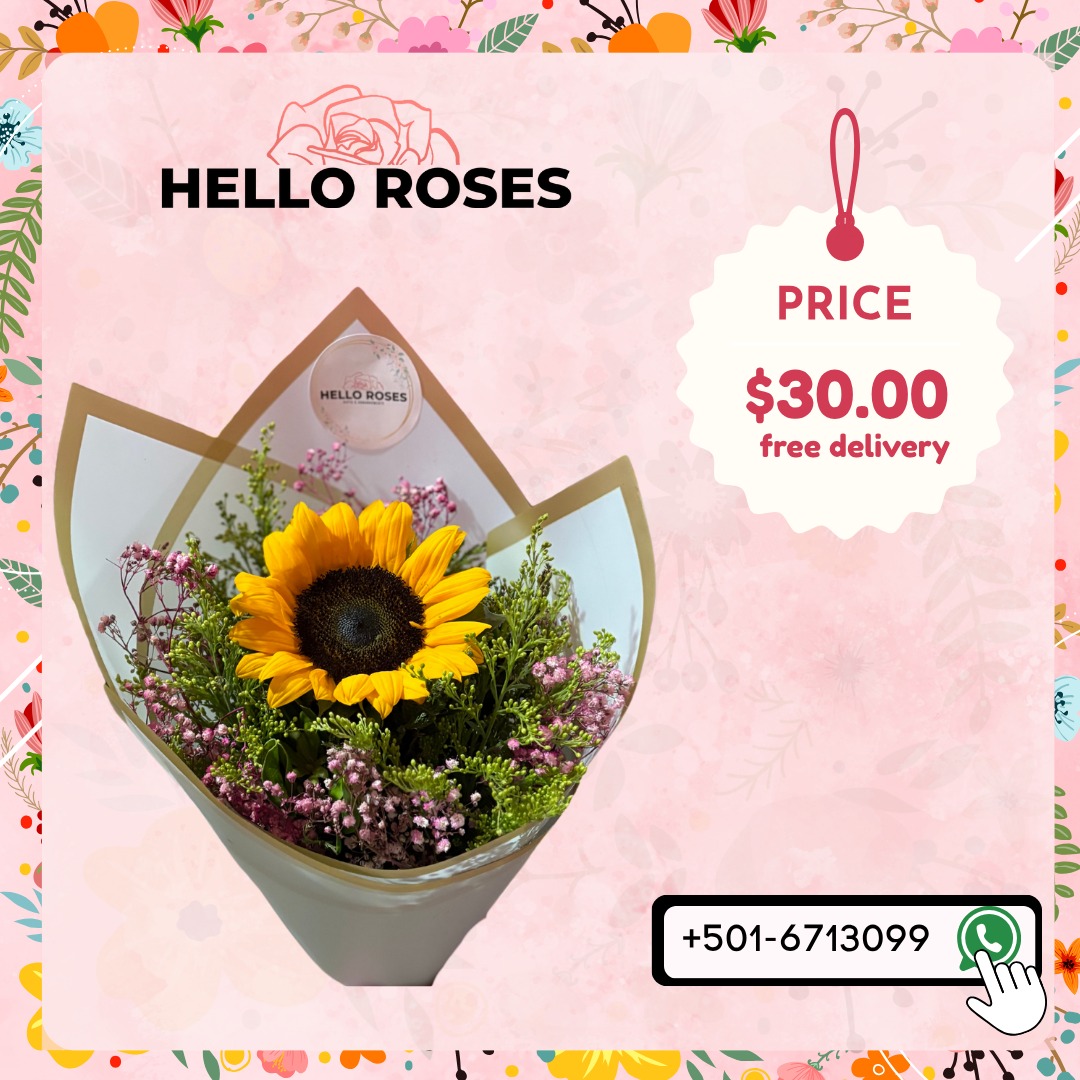 Hello Roses | Belmopan